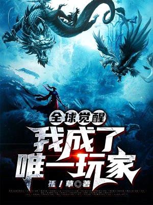 全球觉醒:我成了唯一玩家